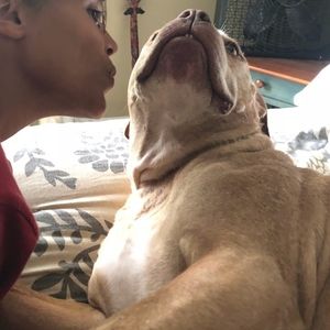 Meet your Posher, Brooklyn